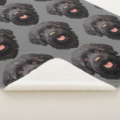 Couverture Sherpa Labradoodle Chien noir (3/4)