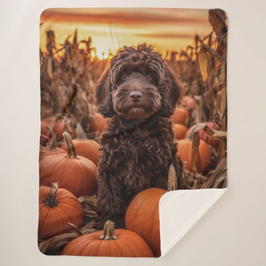 Couverture Sherpa Labradoodle d'automne (Devant)