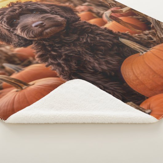 Couverture Sherpa Labradoodle d'automne (3/4)