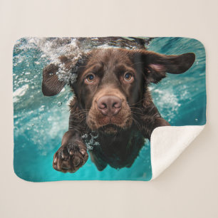 Couverture Sherpa Labrador chocolat joueur nageant sous l'eau