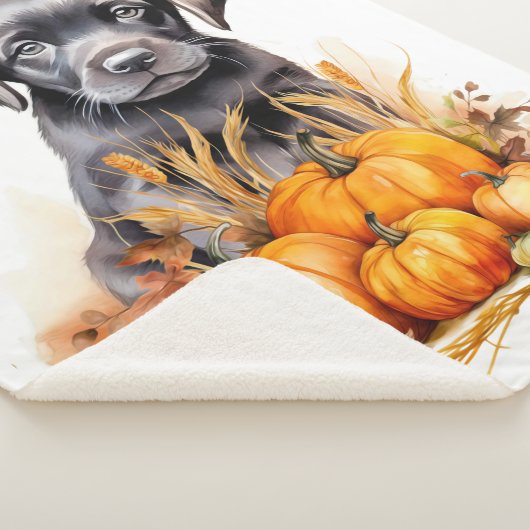 Couverture Sherpa Labrador Retriever Puppy Automne Citrouille Amoure (3/4)