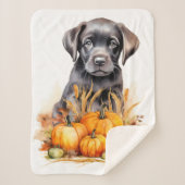 Couverture Sherpa Labrador Retriever Puppy Automne Citrouille Amoure (Devant)