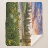 Couverture Sherpa Lac Tipsoo du mont Rainier (Devant)