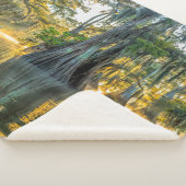 Couverture Sherpa Lake Fausse Pointe State Park (3/4)