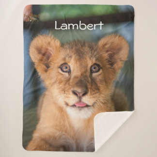 Couverture Sherpa Lambert