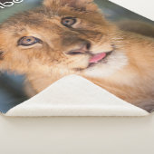 Couverture Sherpa Lambert (3/4)