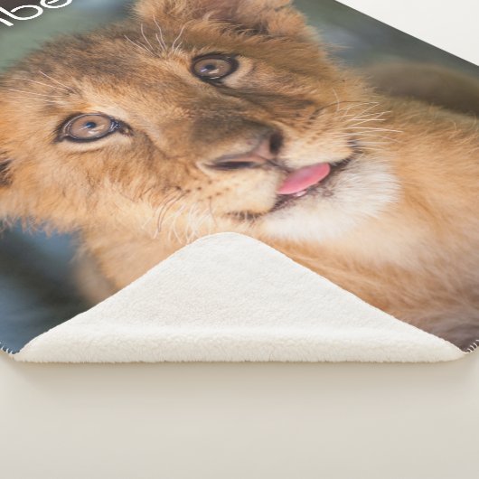 Couverture Sherpa Lambert (3/4)