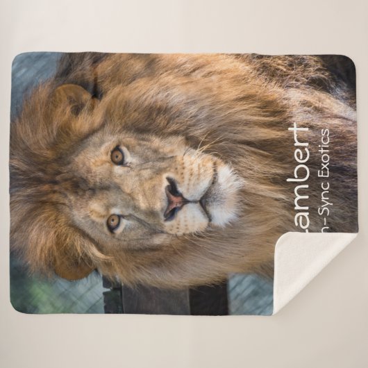 Couverture Sherpa Lambert - (Devant (Horizontal))