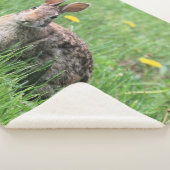 Couverture Sherpa Lapin (3/4)