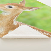 Couverture Sherpa Le cerf de Virginie | Minnesota (3/4)