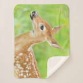 Couverture Sherpa Le cerf de Virginie | Minnesota (Devant)