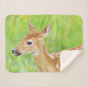 Couverture Sherpa Le cerf de Virginie | Minnesota (Devant (Horizontal))