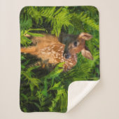 Couverture Sherpa Le cerf de Virginie | Minnesota (Devant)