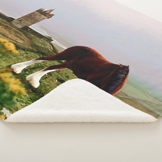 Couverture Sherpa Le château de Clydesdale (3/4)