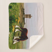 Couverture Sherpa Le château de Clydesdale (Devant)