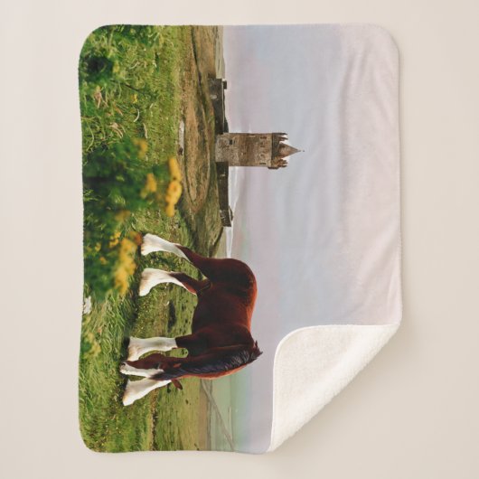 Couverture Sherpa Le château de Clydesdale (Devant)