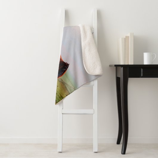 Couverture Sherpa Le château de Clydesdale (En situation)