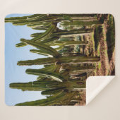 Couverture Sherpa Le jardin des cactus. De grands cactus verts et de (Devant (Horizontal))