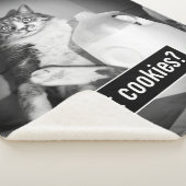 Couverture Sherpa Le Lait De Chat De Juge (3/4)