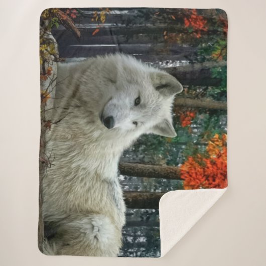 COUVERTURE SHERPA LE LOUP BLANC (Devant)
