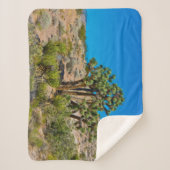 Couverture Sherpa Le Monument national de Gold Butte (Devant)