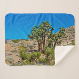 Couverture Sherpa Le Monument national de Gold Butte