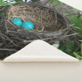 COUVERTURE SHERPA LE NEST DE ROBIN (3/4)