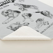 Couverture Sherpa Le plus grand succès Beagle de l'album cov Sherpa (3/4)