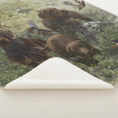 Couverture Sherpa Le Pudelpointer (3/4)