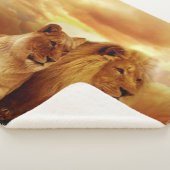 Couverture Sherpa Le ROI et sa REINE (3/4)