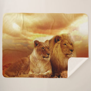 Couverture Sherpa Le ROI et sa REINE