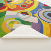 Couverture Sherpa Le rythme, la joie de vivre | Robert Delaunay | (3/4)