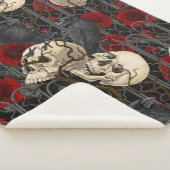 Couverture Sherpa Le secret de Raven. Illustration gothique sombre e (3/4)