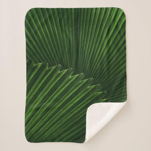 Couverture Sherpa Leaf Background (Devant)