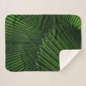 Couverture Sherpa Leaf Background (Devant (Horizontal))