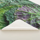 Couverture Sherpa Légume vert (3/4)