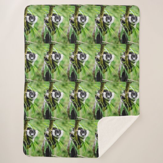 Couverture Sherpa Lemur Anniversaire Anniversaire de la fête Destiny (Devant)