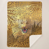 Couverture Sherpa Léopard Territoire 1 (Devant)