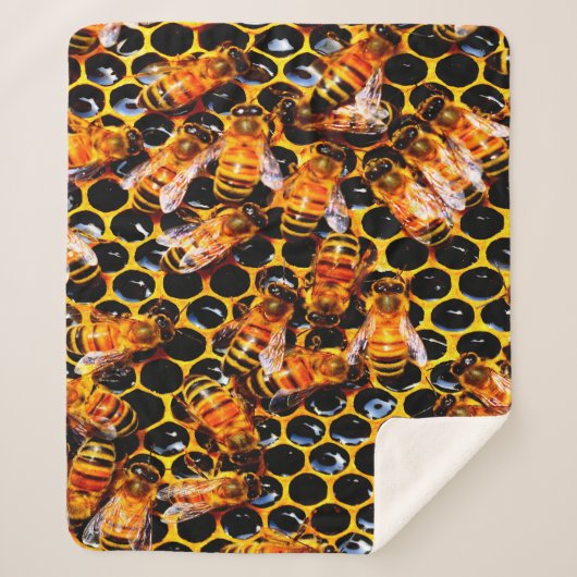 COUVERTURE SHERPA LES ABEILLES (Devant)