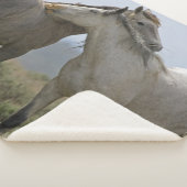 Couverture Sherpa Les Chevaux Sauvages (3/4)