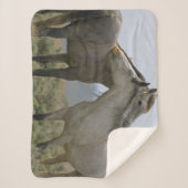 Couverture Sherpa Les Chevaux Sauvages (Devant)