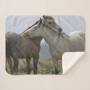 Couverture Sherpa Les Chevaux Sauvages
