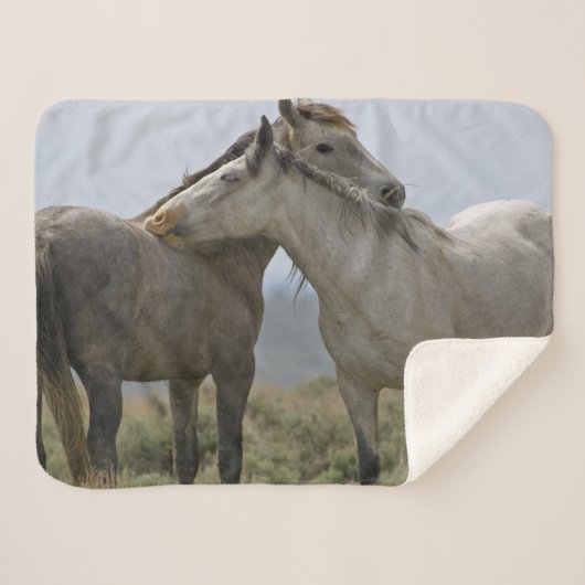 Couverture Sherpa Les Chevaux Sauvages (Devant (Horizontal))
