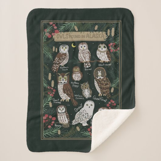 Couverture Sherpa Les Chouettes trouvées en Alaska Sherpa Blanket (Devant)