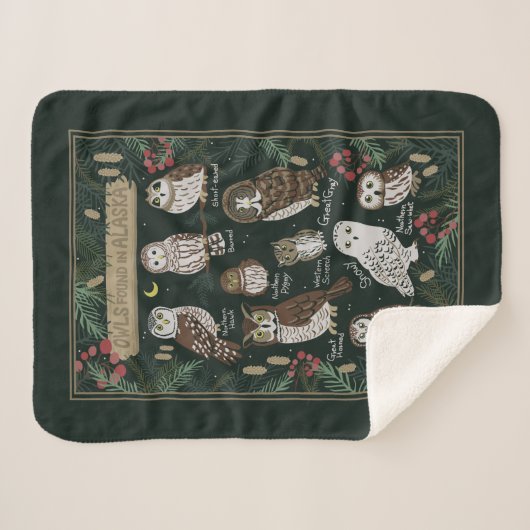 Couverture Sherpa Les Chouettes trouvées en Alaska Sherpa Blanket (Devant (Horizontal))
