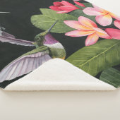 Couverture Sherpa Les colibris de la Plumeria (3/4)