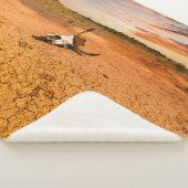 Couverture Sherpa Les déserts | Le désert au crâne de vache (3/4)