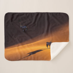 Couverture Sherpa Les déserts Parc national du Namib Naukluft Keny