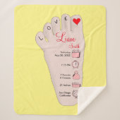 Couverture Sherpa Les détails de Birth Stats (Devant)