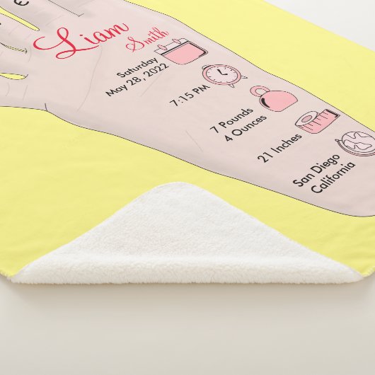 Couverture Sherpa Les détails de Birth Stats (3/4)